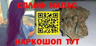 spice Ефремов