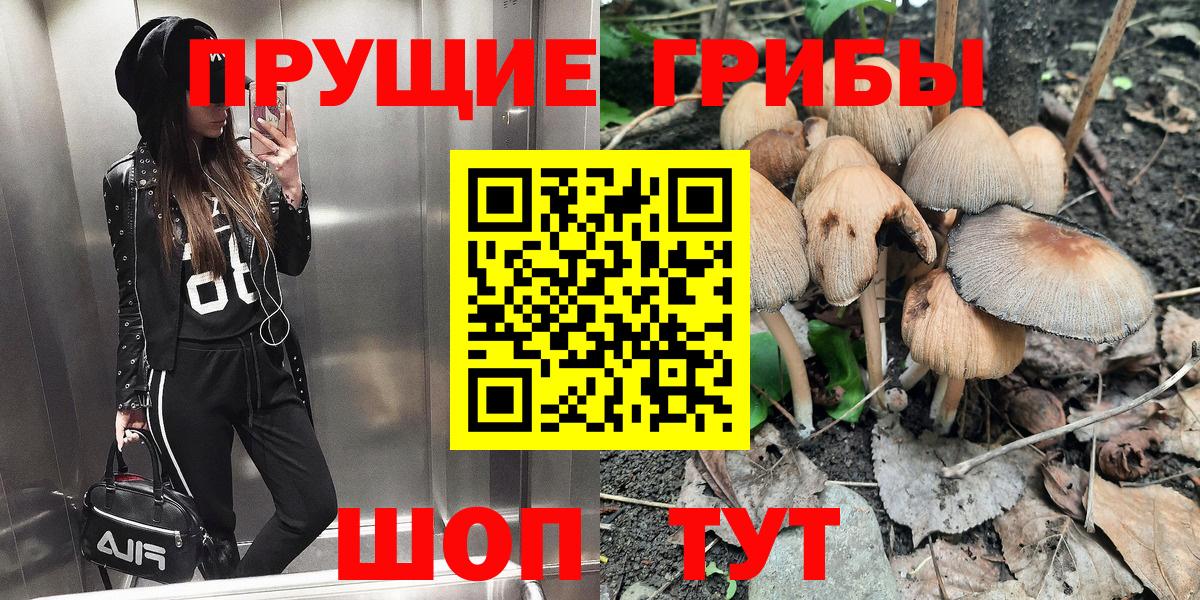 Псилоцибиновые грибы мицелий  Вход с VPN  Абинск 