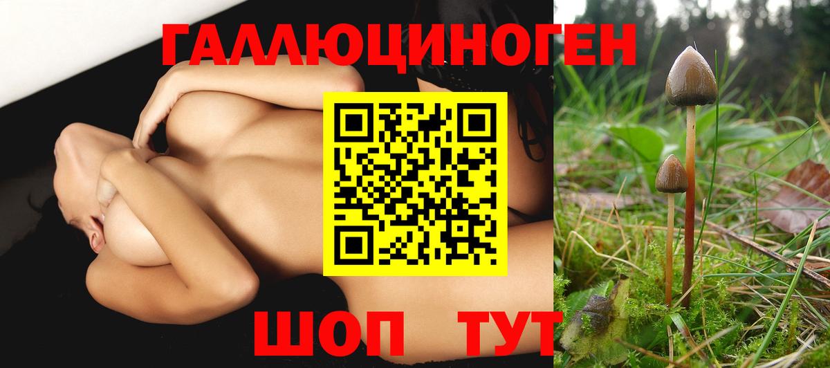 Галлюциногенные грибы прущие грибы Абинск